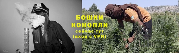 крисы Куйбышев