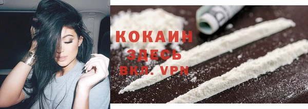 гидра Кулебаки