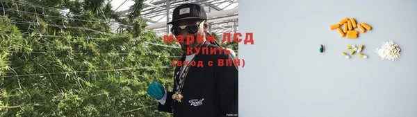 ECSTASY Кукмор