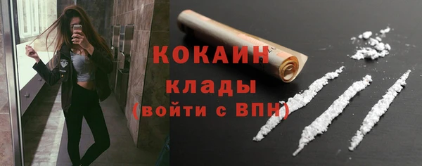 гидра Кулебаки