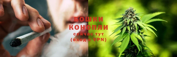 ECSTASY Кукмор
