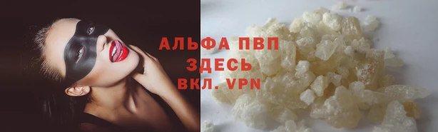 ECSTASY Кукмор