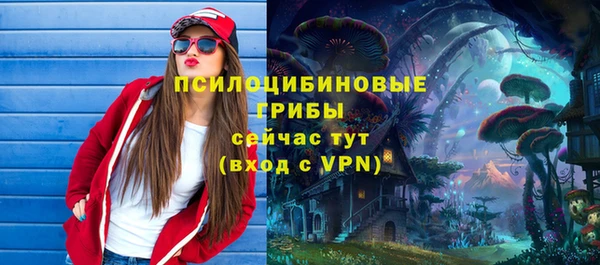 ECSTASY Кукмор