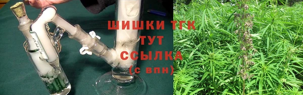 гидра Кулебаки